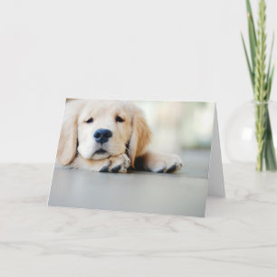 Sleepy Golden Retriever Puppy Card
