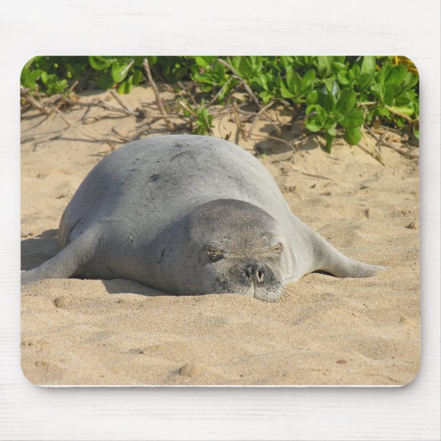 Sleepy Hawaiian Monk Seal Mouse Pad (Front)