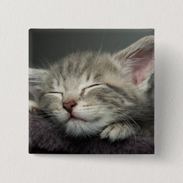 Sleepy Kitten 2 Inch Square Button (Front)