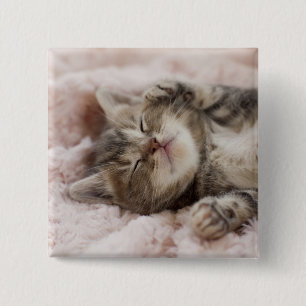 Sleepy Kitten 2 Inch Square Button