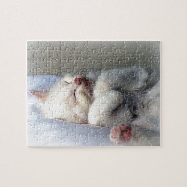 Sleepy Kitten Jigsaw Puzzle (Horizontal)
