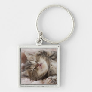 Sleepy Kitten Keychain