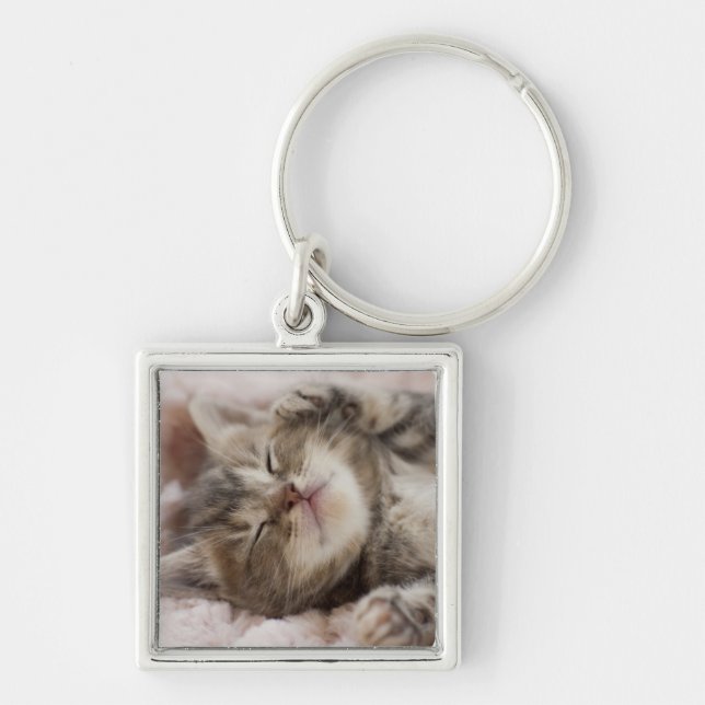 Sleepy Kitten Keychain (Front)