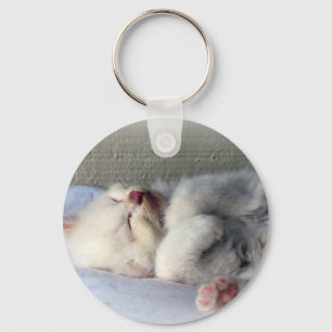 Sleepy Kitten Keychain