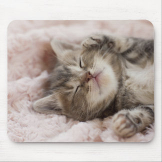 Sleepy Kitten Mouse Pad