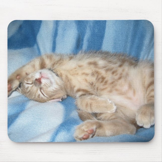 Sleepy Kitten Mousepad (Front)
