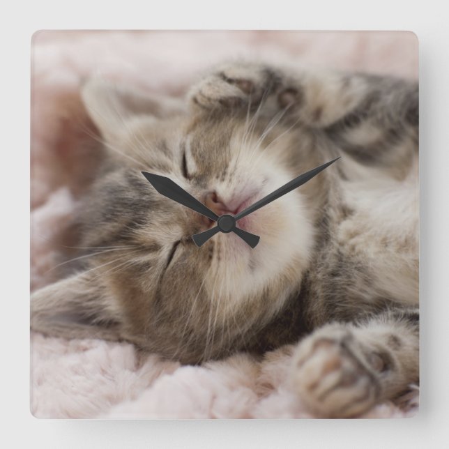 Sleepy Kitten Square Wall Clock (Front)