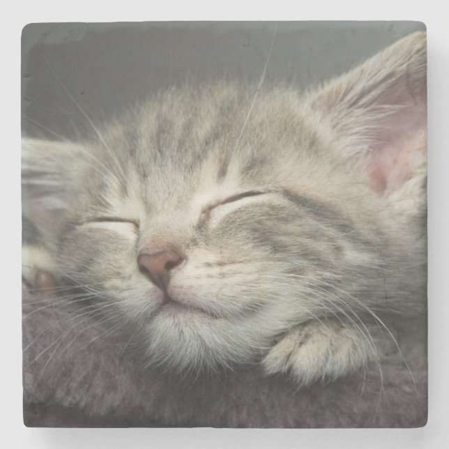 Sleepy Kitten Stone Coaster (Front)