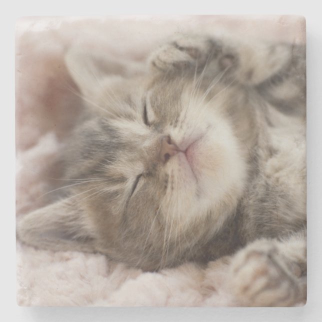 Sleepy Kitten Stone Coaster (Front)