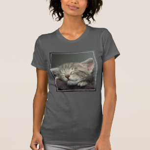 Sleepy Kitten T-Shirt