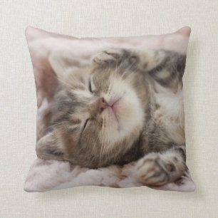 Sleepy Kitten Throw Pillow