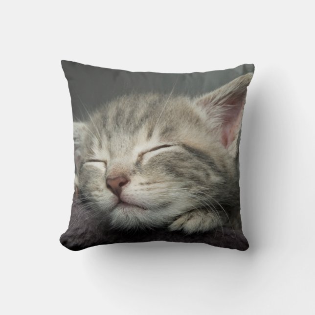 Sleepy Kitten Throw Pillow (Front)
