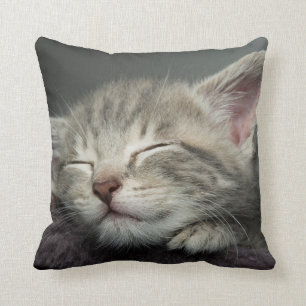 Sleepy Kitten Throw Pillow
