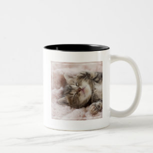 Sleepy Kitten Two-Tone Coffee Mug