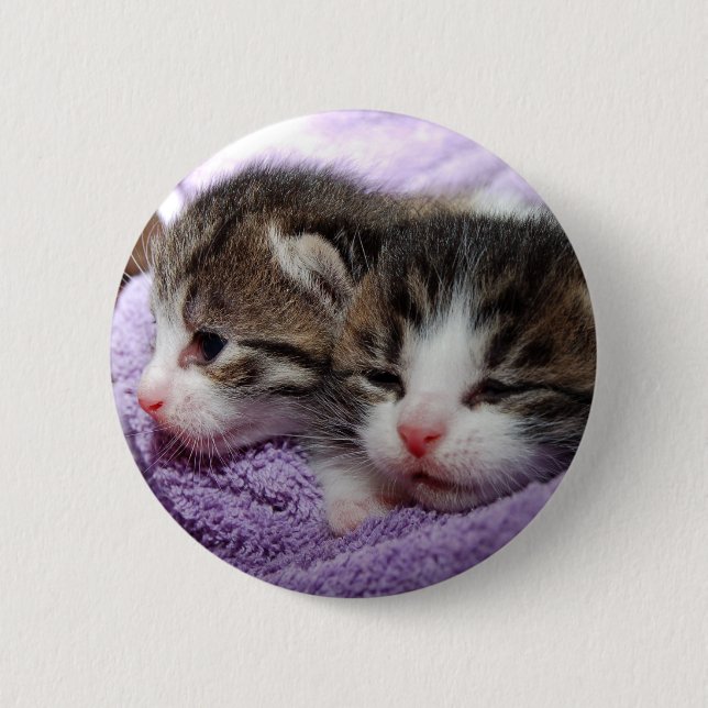 Sleepy kittens 2 inch round button (Front)