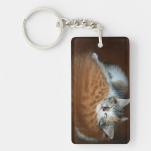Sleepy kittens keychain