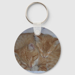 Sleepy kittens keychain