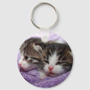 Sleepy kittens keychain