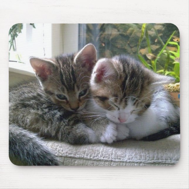 Sleepy Kittens Mouse Mat (Front)