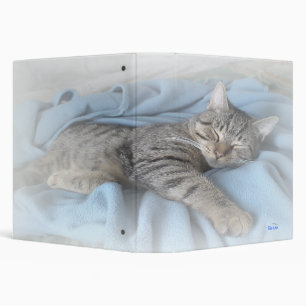 Sleepy Kitty 2.2" Binder