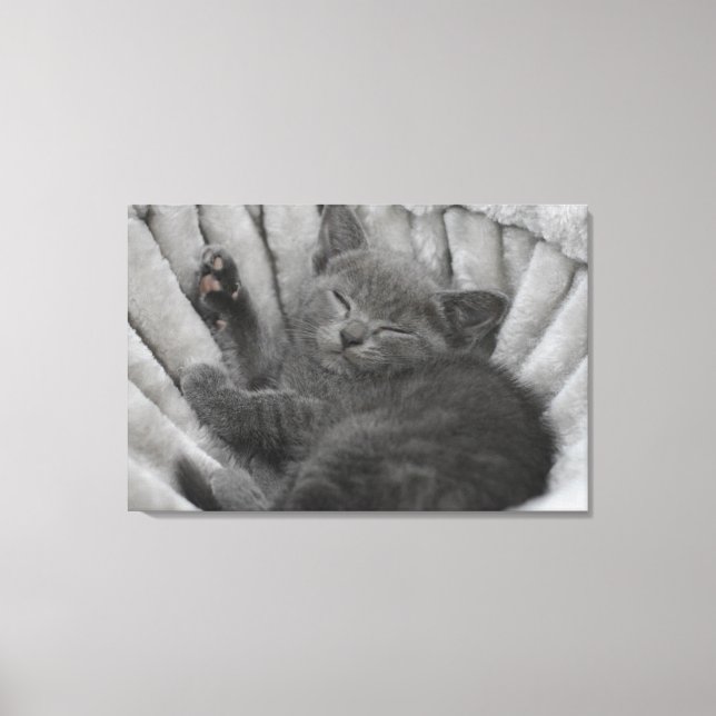 Sleepy kitty canvas print (Front)