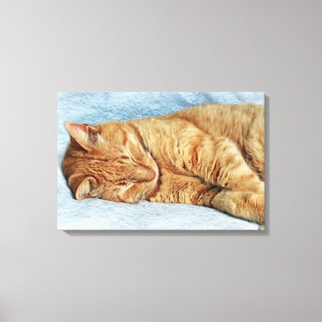 Sleepy Kitty Canvas Print (Front)