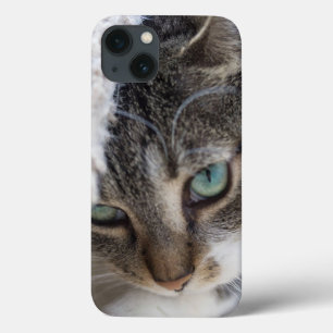 Sleepy Kitty iPhone 13 Case