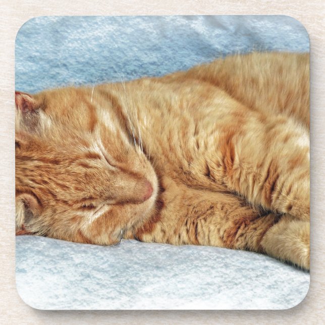 Sleepy Kitty Coaster (Front)