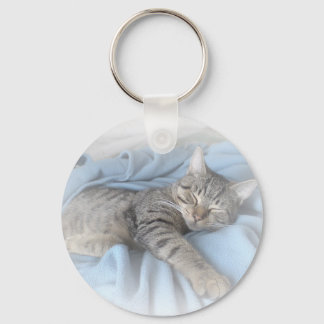 Sleepy Kitty Keychain