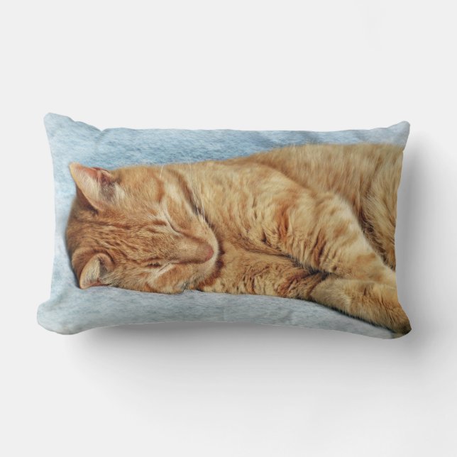 Sleepy Kitty Lumbar Pillow (Front)
