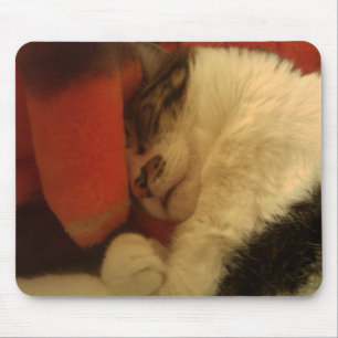 Sleepy Kitty Mouse Pad