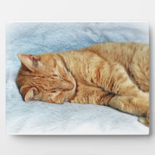 Sleepy Kitty Plaque