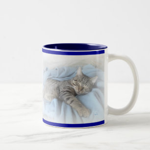 Sleepy Kitty Two-Tone Coffee Mug