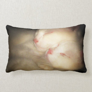 Sleepy Kittys Pillow