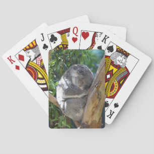 Sleepy Koala in Tree Playing Cards
