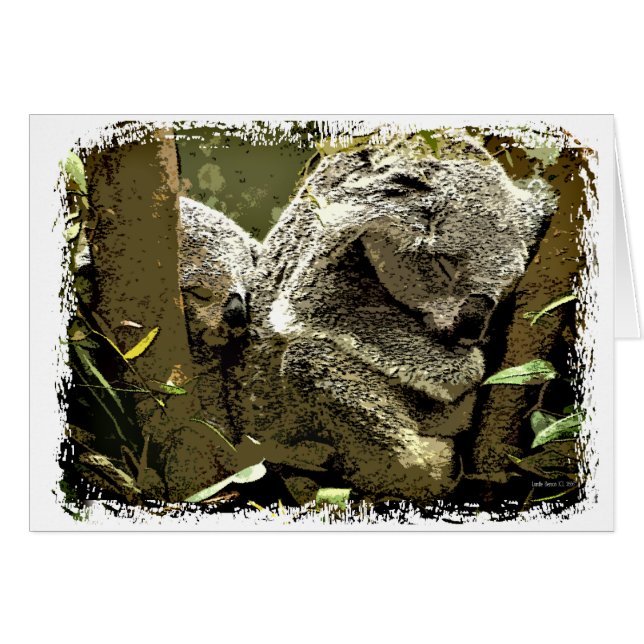 Sleepy Koalas (Front Horizontal)