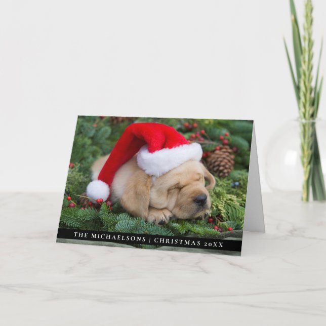 Sleepy Labrador Retriever Puppy With Santa Hat Holiday Card (Front)