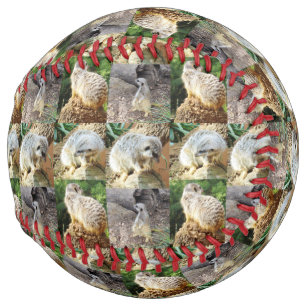 Sleepy Meerkat Photo Collage, Softball
