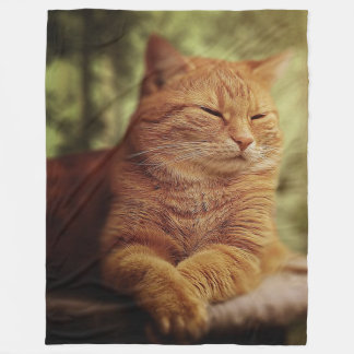 Sleepy Orange Cat on Large Fleece Blanket
