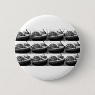 Sleepy Orange Tabby Cat/Black and White Photo 2 Inch Round Button