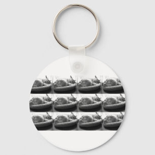 Sleepy Orange Tabby Cat/Black and White Photo Keychain