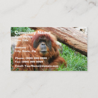 Sleepy Orangutan Business Card