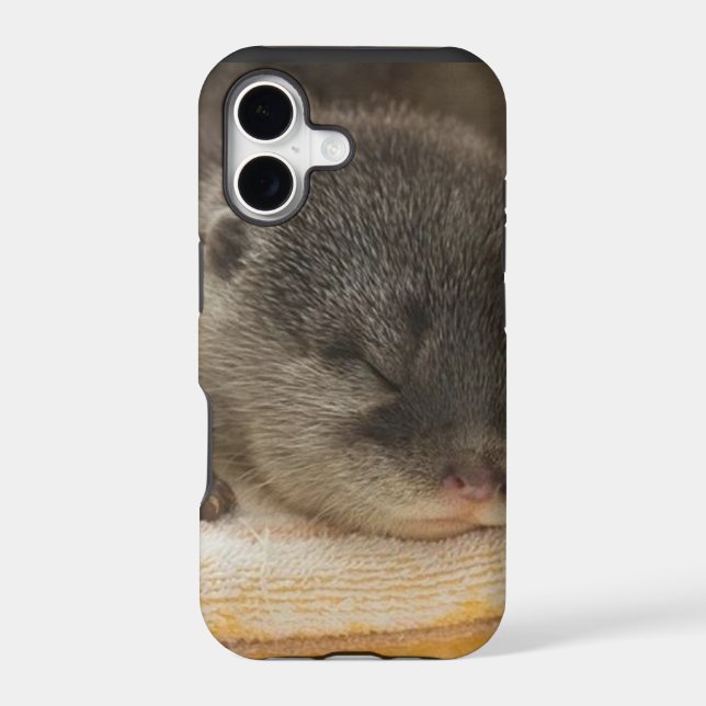 Sleepy Otter (Back)