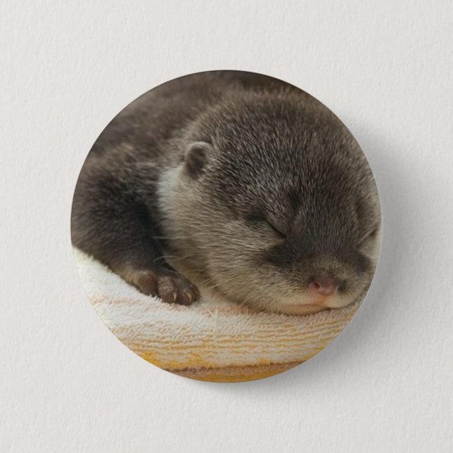 Sleepy Otter 2 Inch Round Button (Front)