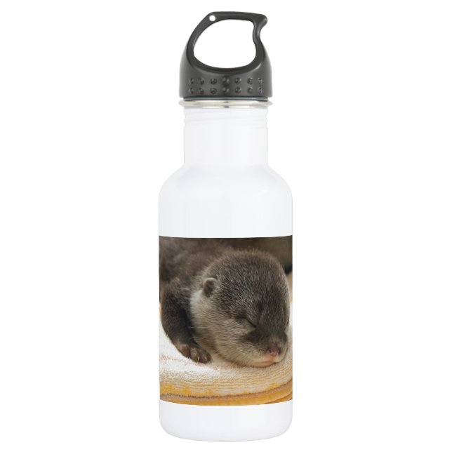 Sleepy Otter 532 Ml Water Bottle (Front)