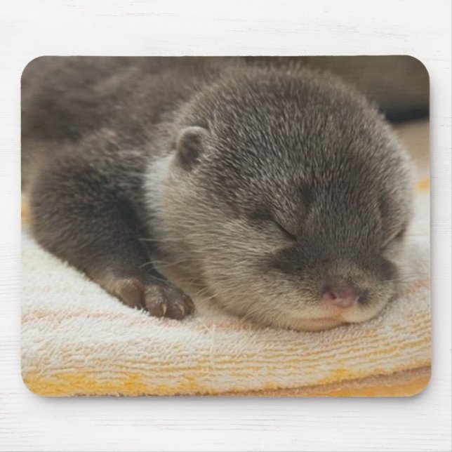 Sleepy Otter Mouse Pad (Front)