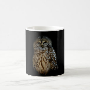 Sleepy Owl Mug