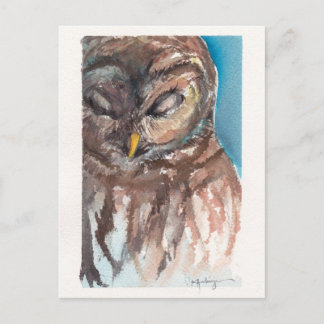 sleepy owl post card