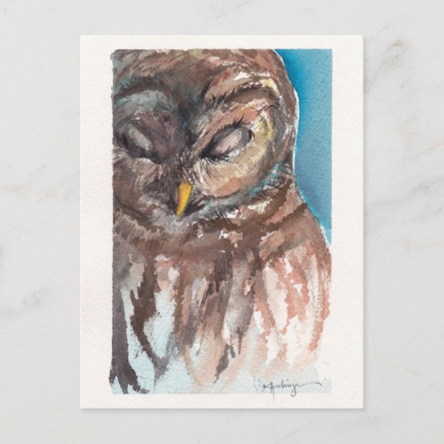 sleepy owl post card (Front)