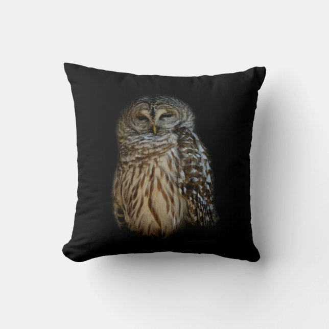 Sleepy Owl Throw Pillow (Front)